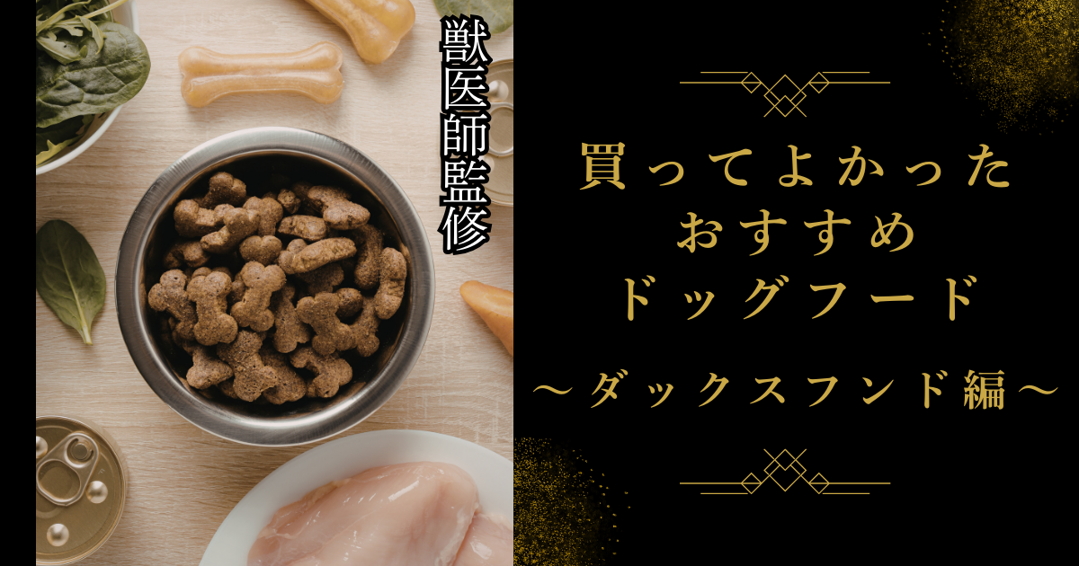 獣医師監修】ダックスフンドに最適なドッグフードおすすめ10選！腰の