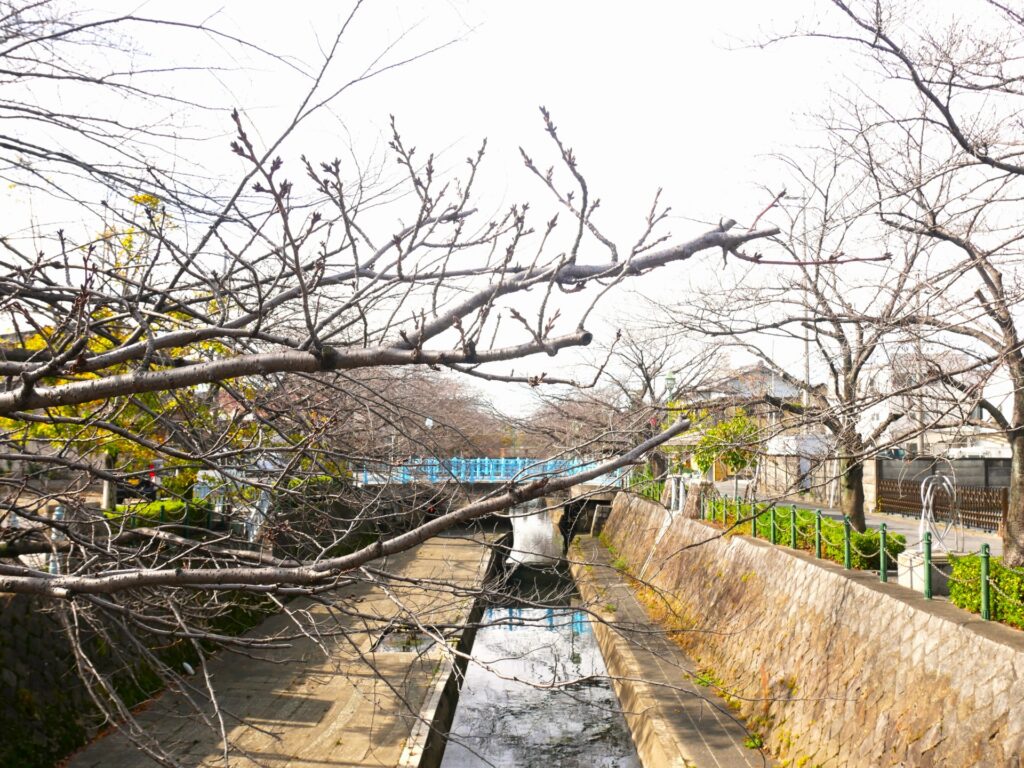 大垣市・養老町