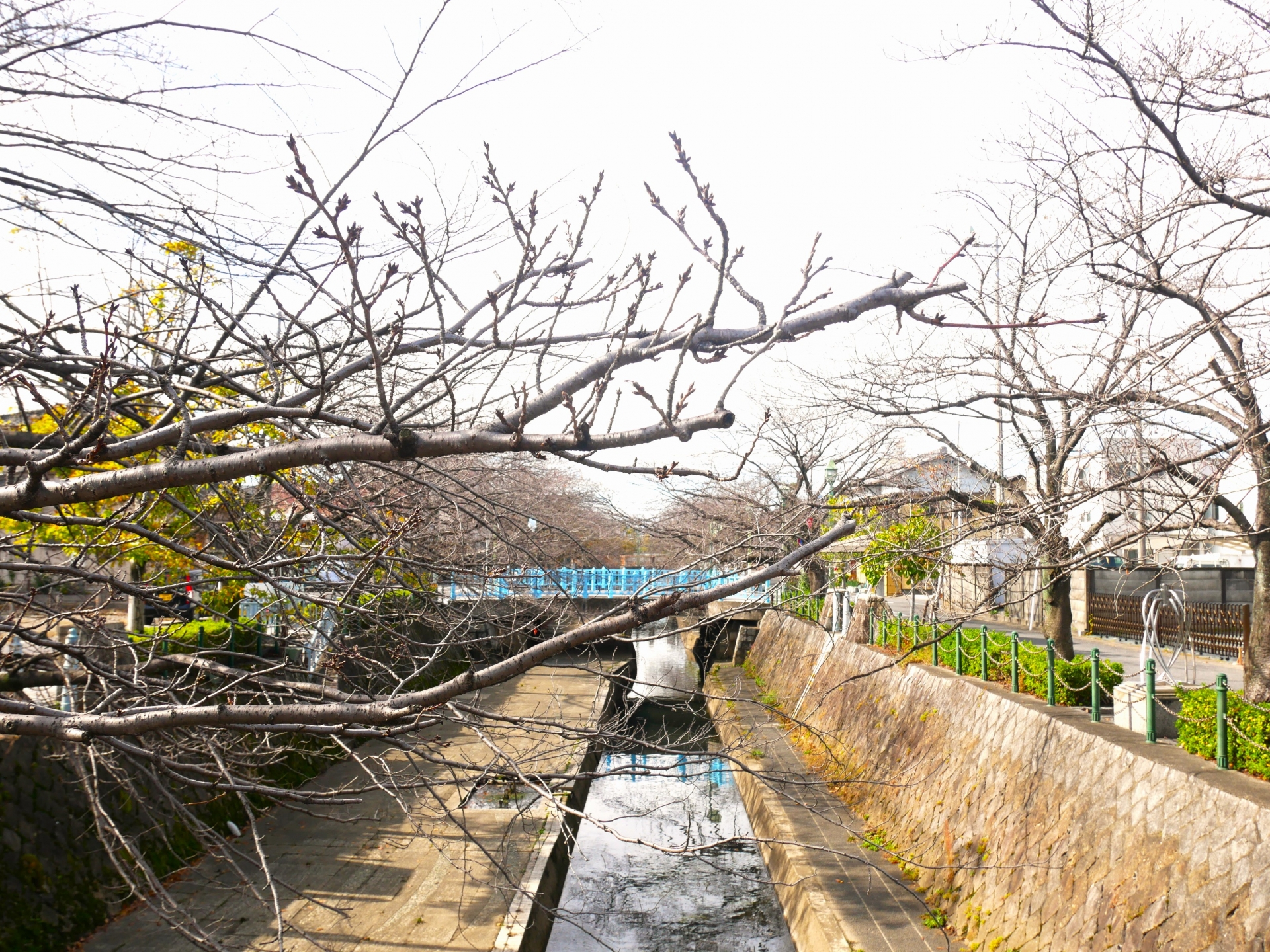 大垣市・養老町