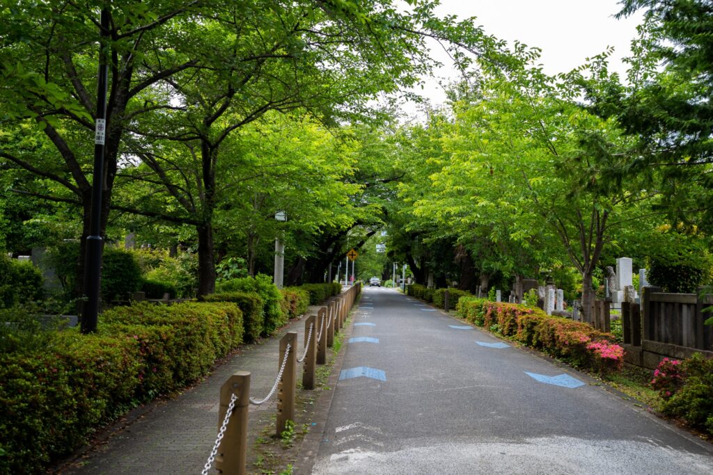 青山霊園