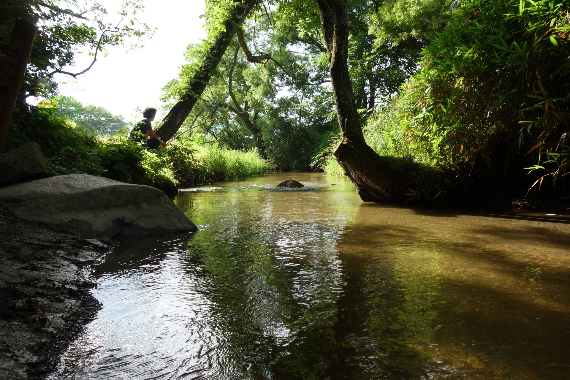 河童のクゥと夏休み
