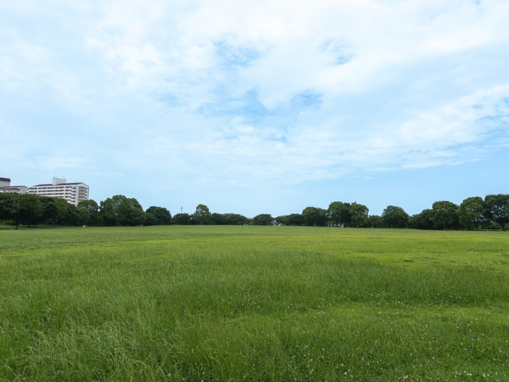 大島小松川公園
