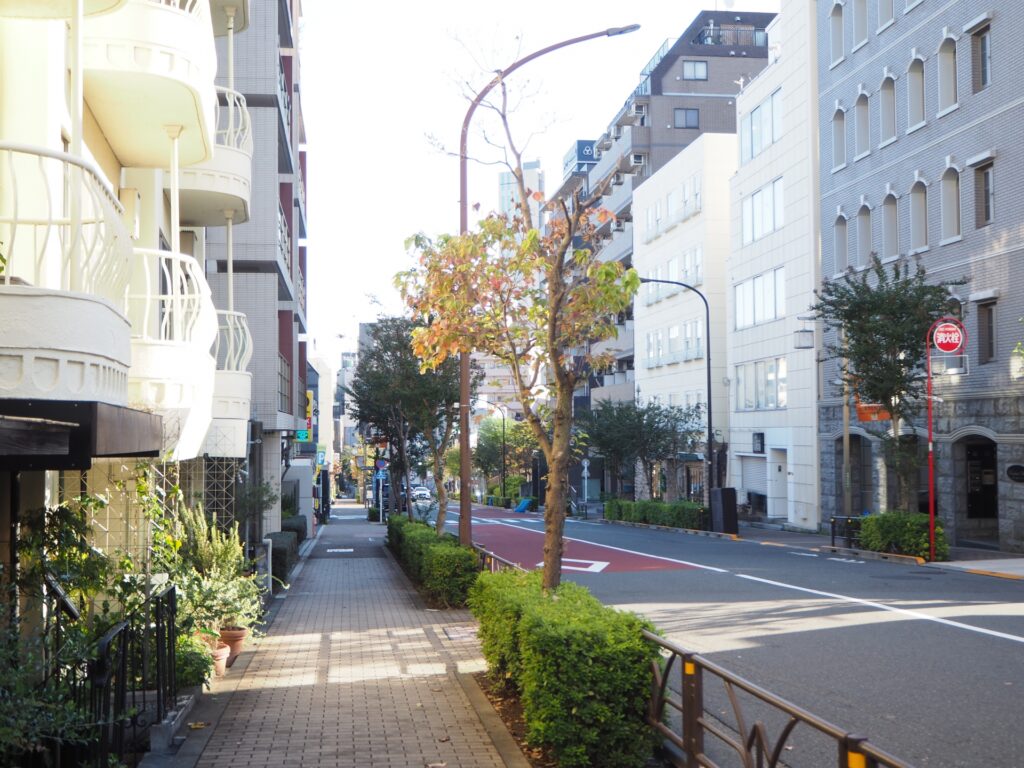 松濤文化村ストリート