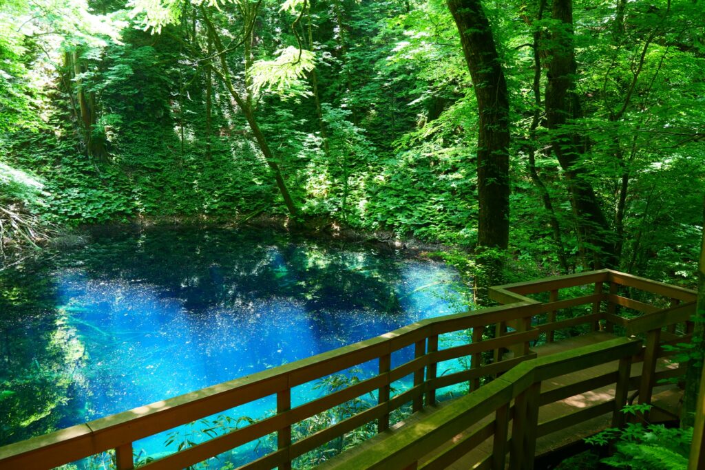 白神山地・十二湖