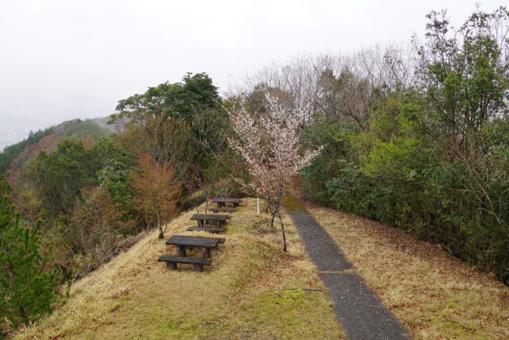 国見ヶ丘展望台