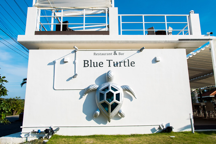 Blue Turtle