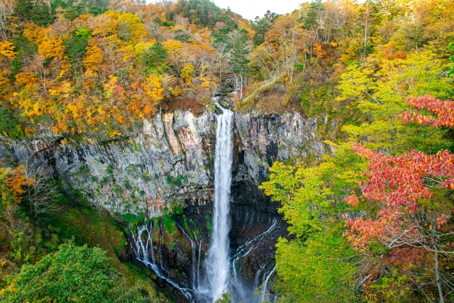 練馬区の光が丘にある岩だらけの断崖を、高い滝が勢いよく流れ落ちています。その周囲は、鮮やかな秋色に染まった森の木々に囲まれており、まるで東源安基の風景を彷彿とさせます。.