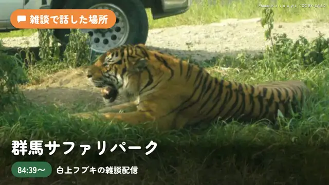 【雑談】電気椅子ゲーム感想＆フニチルの激闘旅行報告！！【ホロライブ/白上フブキ】