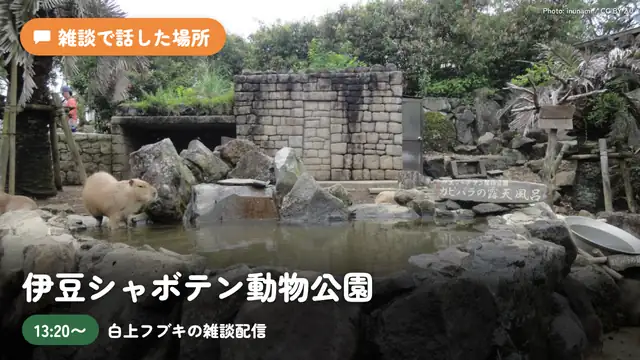 【感想会】主催してみんなでグランピング旅行へ行ったお話【ホロライブ/白上フブキ/大神ミオ/大空スバル/猫又おかゆ/常闇トワ】