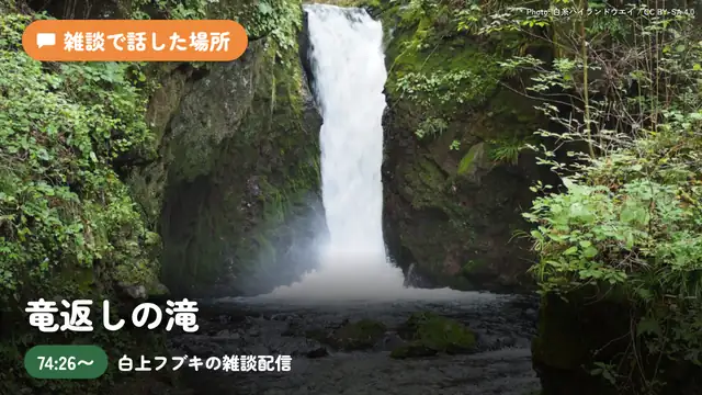 【雑談】電気椅子ゲーム感想＆フニチルの激闘旅行報告！！【ホロライブ/白上フブキ】