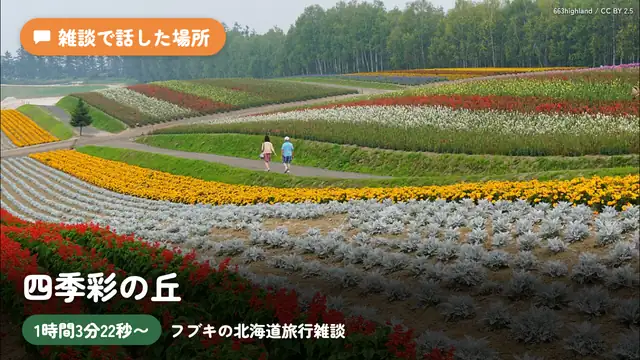 【雑談】ミオ＆ルイと北海道へ旅行してきましたーーーっ！！！な雑談！【ホロライブ/白上フブキ】