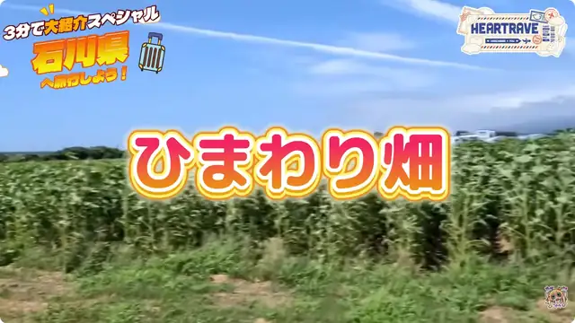 【石川】無計画旅したら悲惨な事に・・・【ホロライブ/赤井はあと】