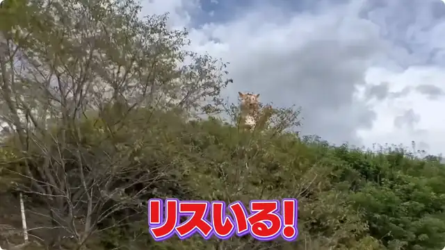 Twitterで鬼バズってるホラーすぎる遊園地に何も知らないいろはを連れて潜入してみたら本当にヤバかったWWW