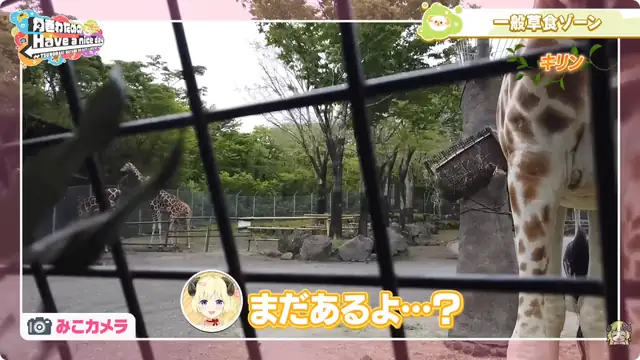 みこちと行く!富士サファリパーク!!!