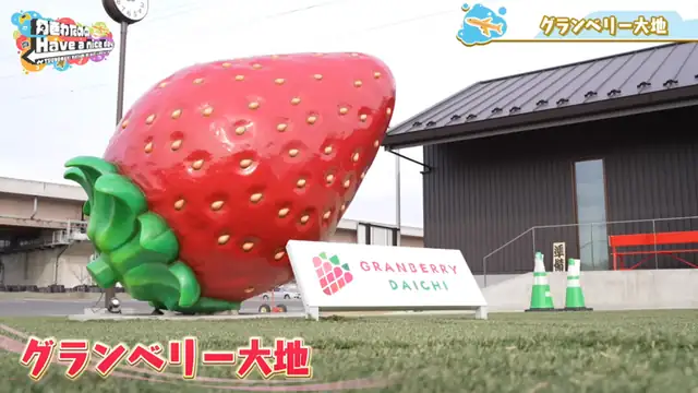 ノエフレとラジコン＆いちご狩り対決！