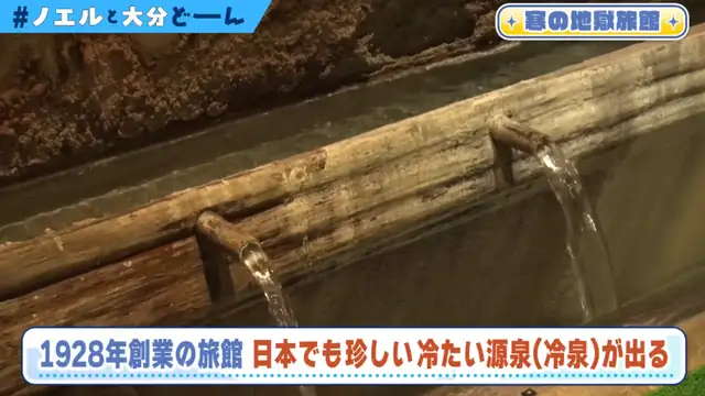 【#ノエルと大分どーん】食べて涼んで癒される！夏の涼しいおおいたご紹介！【白銀ノエル/ホロライブ】