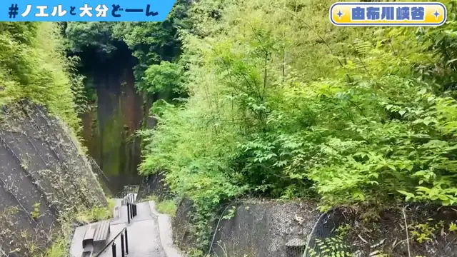 【#ノエルと大分どーん】食べて涼んで癒される！夏の涼しいおおいたご紹介！【白銀ノエル/ホロライブ】