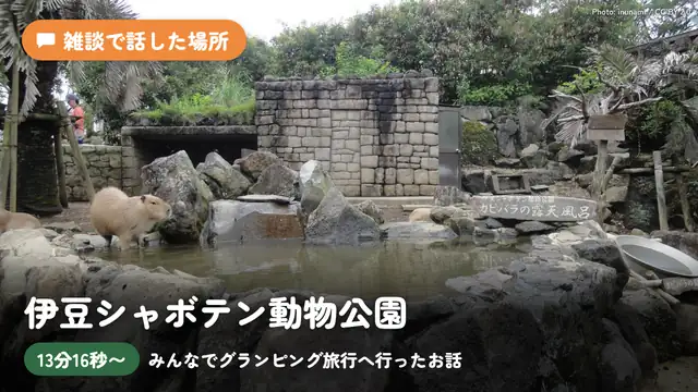 【感想会】主催してみんなでグランピング旅行へ行ったお話【ホロライブ/白上フブキ/大神ミオ/大空スバル/猫又おかゆ/常闇トワ】