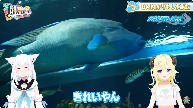 フブわた沖縄旅!後編