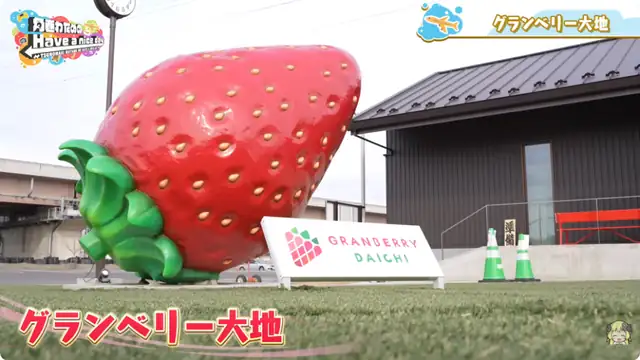 ノエフレとラジコン&いちご狩り対決!