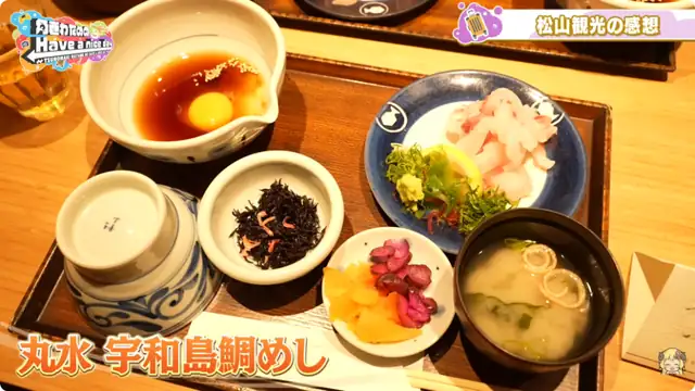 ういちゃんと香川&愛媛旅!うどん学校に入学!!