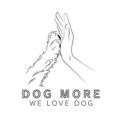 ドグモアメディアファビコン